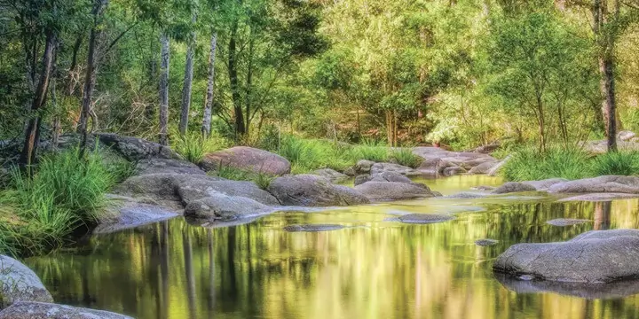 Earth Day theme underscores hidden dangers of plastics