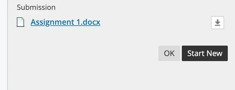 You will be directed to a preview page of your previous assignment submission. Click on 'Start New' to submit an additional assignment attempt.