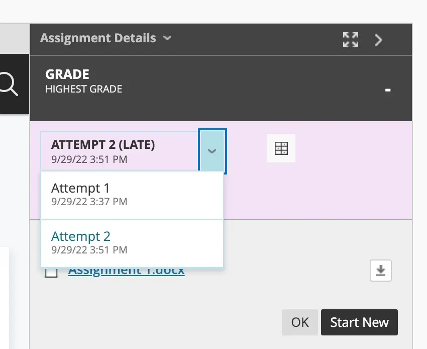 After submission, you will see the new assignment labeled as 'Attempt 2'. You may switch to previous attempts for viewing if needed.